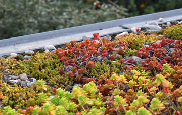 the cost of Leck green roof installation