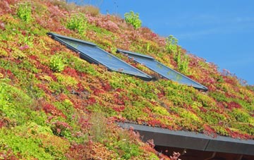 Leck living roof systems