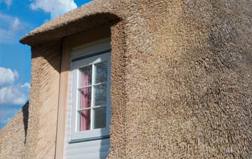 Leck thatch roof disadvantages